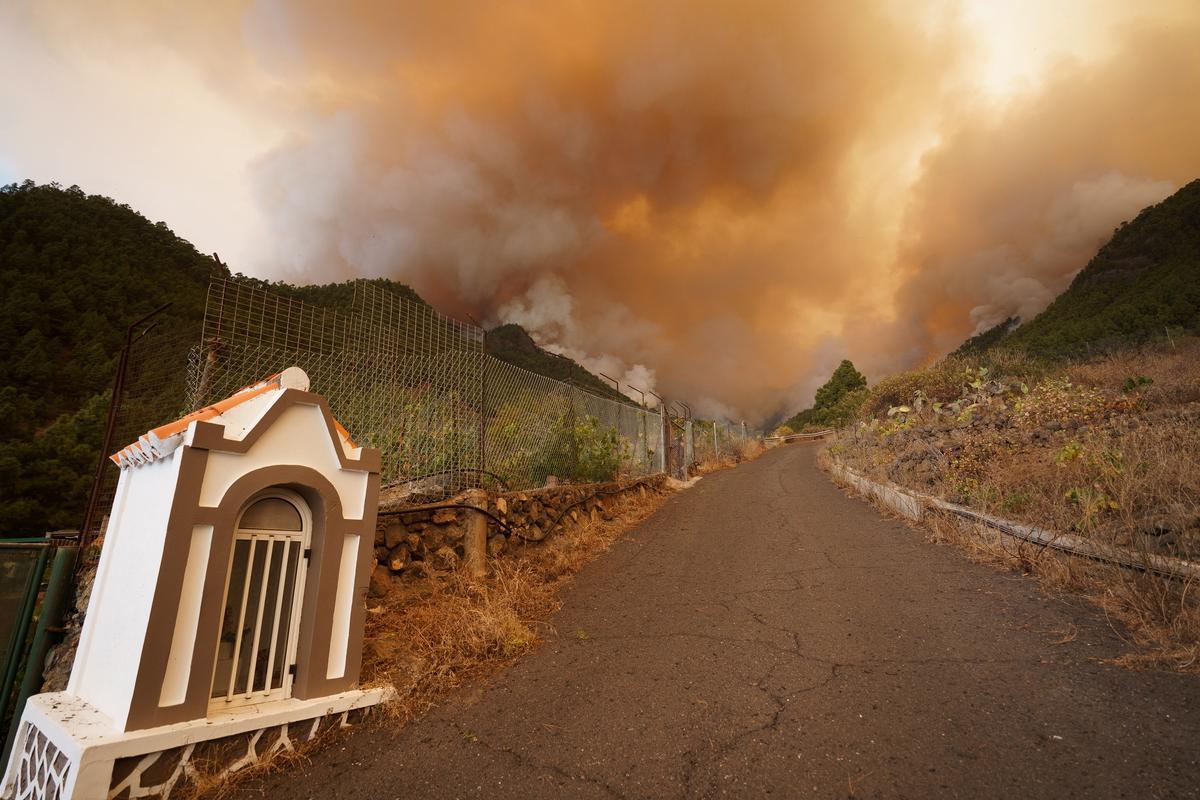 El Fuego De Tenerife Está Fuera De Control Y Afecta Ya A 1800 Hectáreas 8116