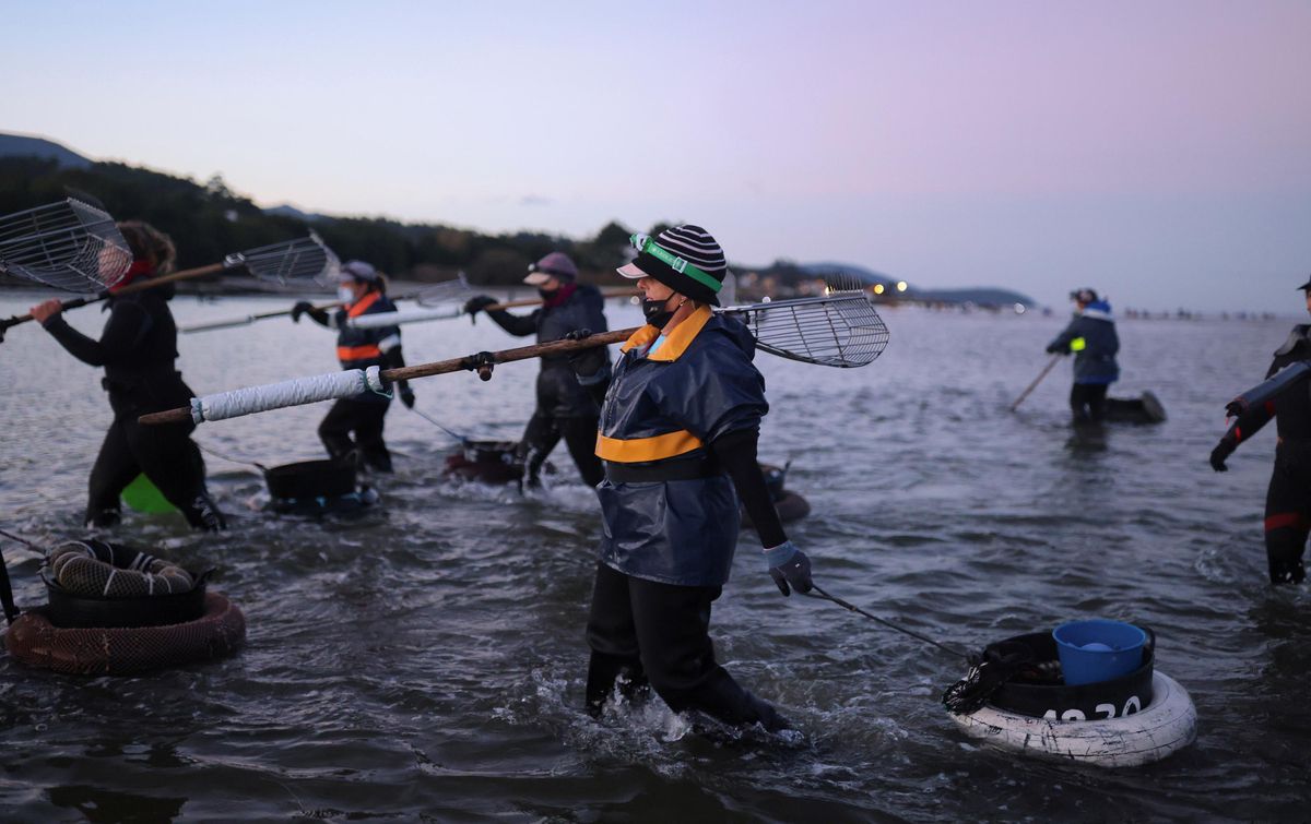 Mariscadoras gallegas, la dureza de su trabajo Mariscadoras gallegas, la dureza de su trabajo