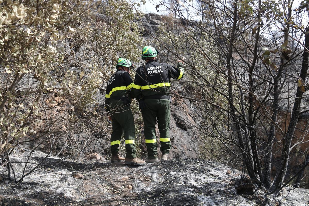 Extingit l’incendi d’Artesa de Segre després de cremar 2.700 hectàrees