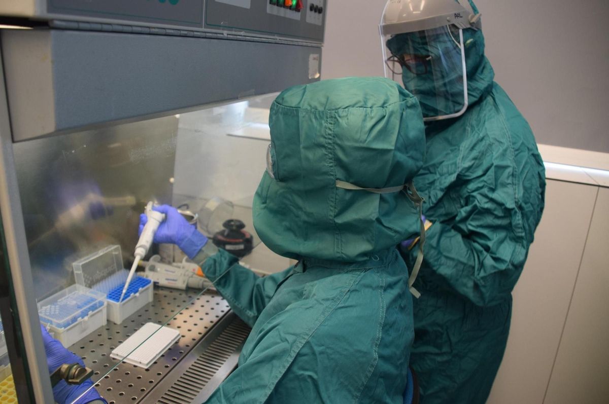 Un estudio usará nanopartículas para tratar el cáncer de páncreas avanzado Un estudio usará nanopartículas para tratar el cáncer de páncreas avanzado