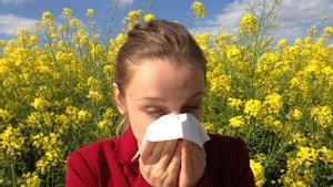 Las 12 plantas que provocan más alergia al polen en España