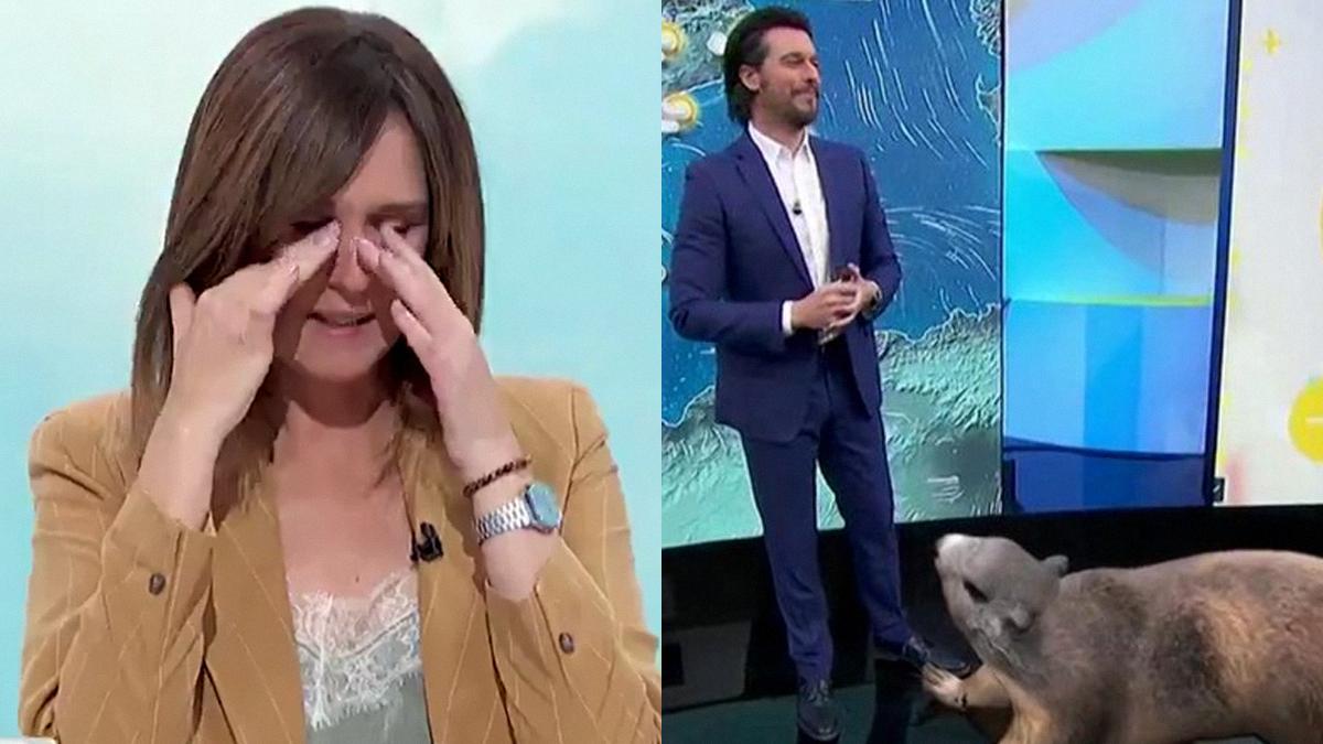 VÍDEO | Mónica López se muere de risa con Martín Barreiro y su marmota gigante