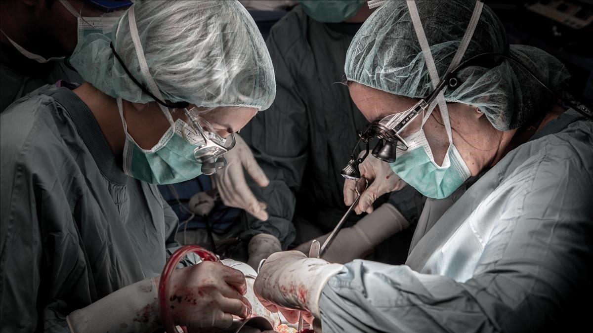 Un trasplante de hígado en el Hospital Vall d’Hebron de Barcelona.