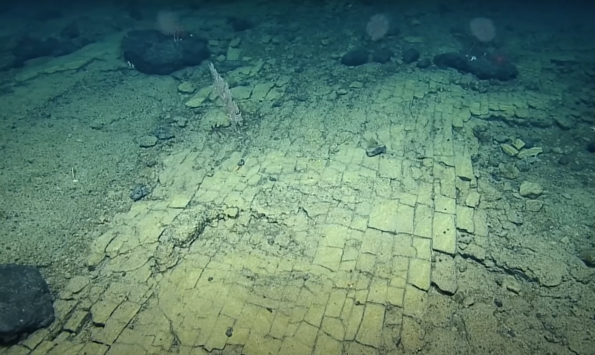 Una misión científica descubre un "camino de baldosas amarillas" en las profundidades del Pacífico