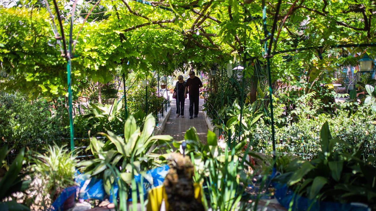 On es poden trobar jardins secrets a Barcelona