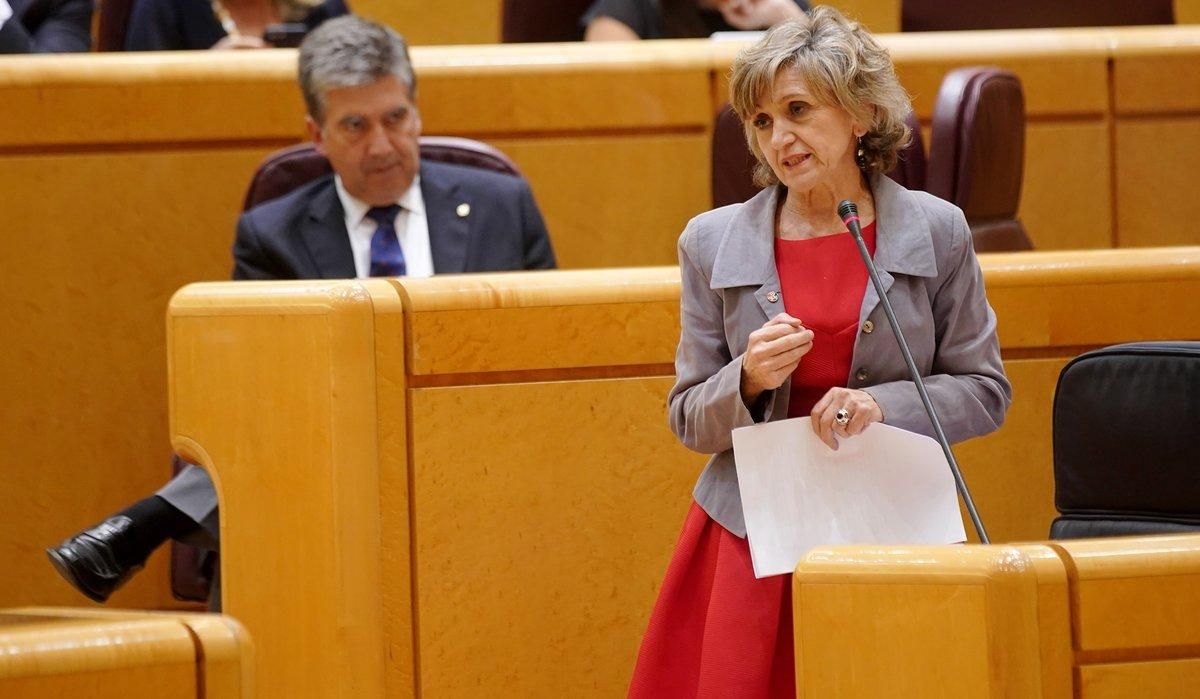 La ministra de Sanidad, María Luisa Carcedo, en una sesión de control al Gobierno en el Senado. La ministra de Sanidad, María Luisa Carcedo, en una sesión de control al Gobierno en el Senado.