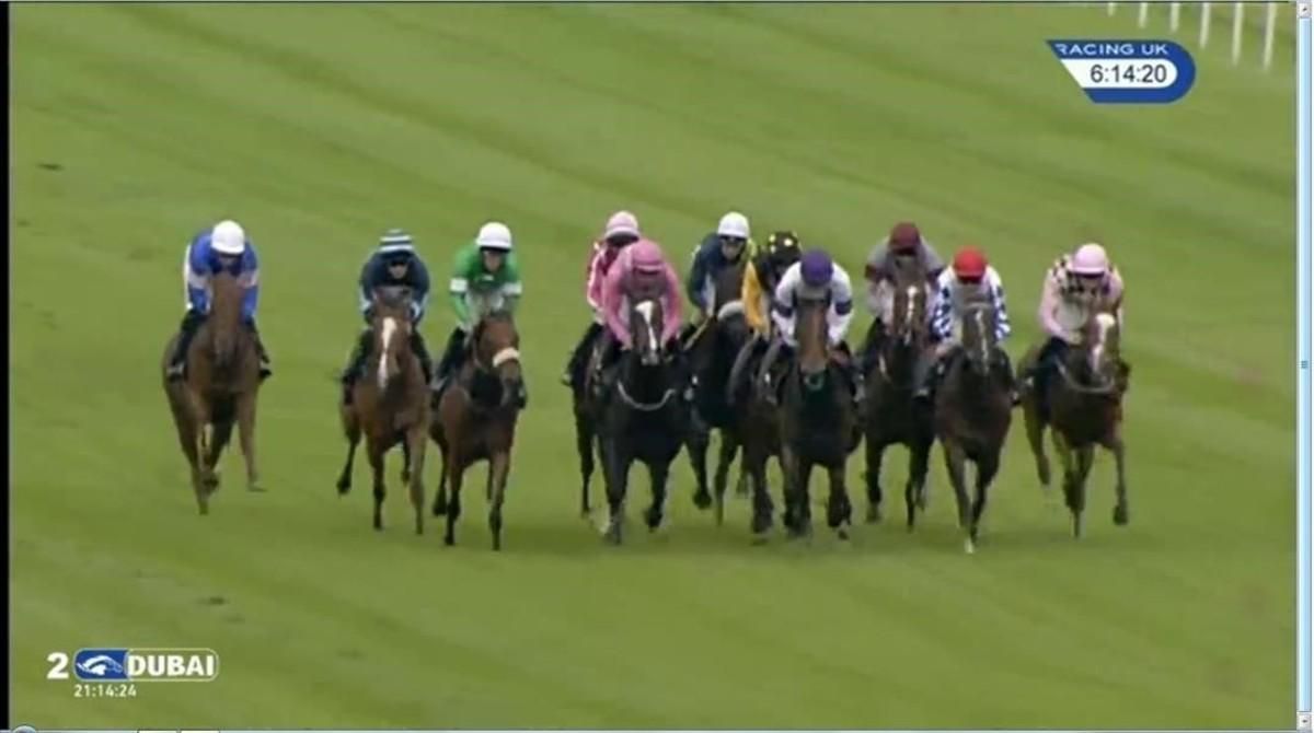 Captura de la imagen televisiva de la carrera en la que ha caído derrotado el caballo Brexit. Captura de la imagen televisiva de la carrera en la que ha caído derrotado el caballo Brexit.