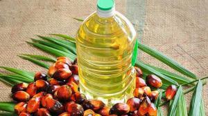 ¿Què és l'oli de palma? ¿És dolent per a la salut? 5 claus