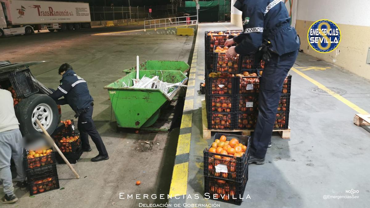 Unos ladrones robaron una tonelada de naranjas y declararon que eran «para consumo propio»