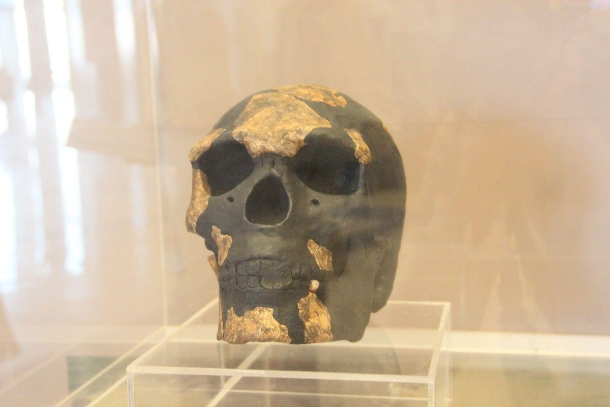 Los primeros restos humanos en África datan de hace más de 230.000 años