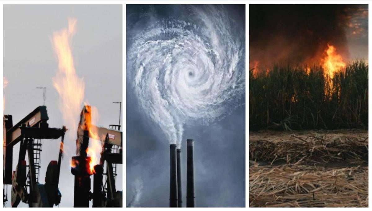 10 documentals disponibles en ‘streaming’ que alerten i consciencien sobre el canvi climàtic