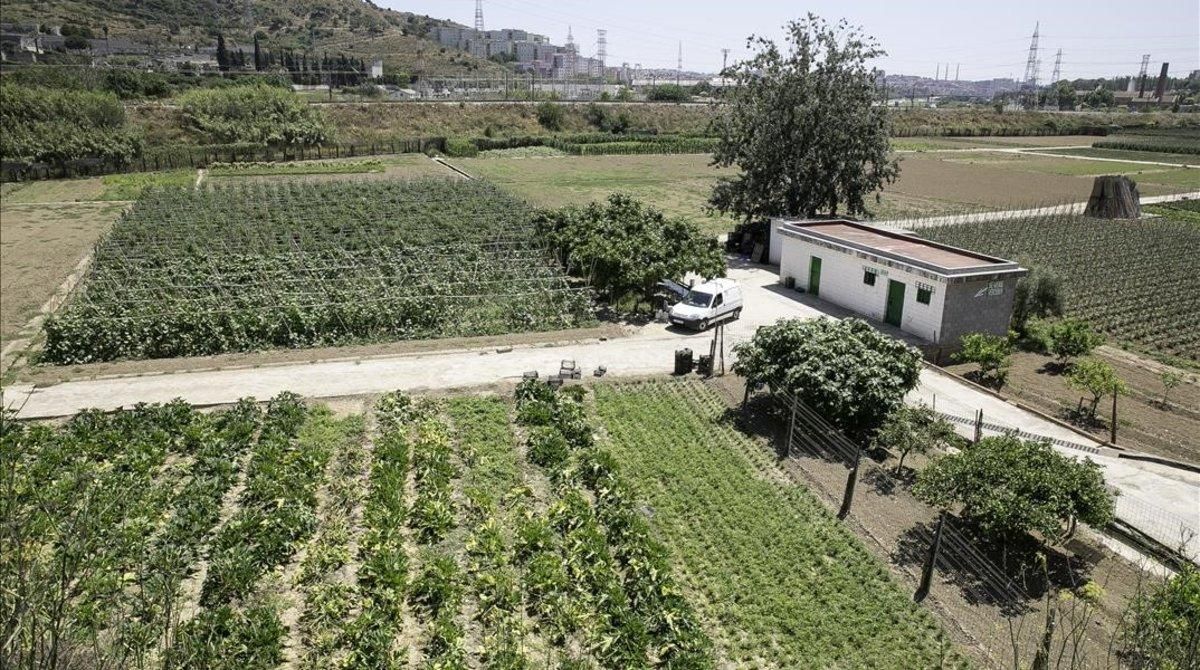 Huertos de La Ponderosa, con el punto de venta cerrado. Huertos de La Ponderosa, con el punto de venta cerrado.