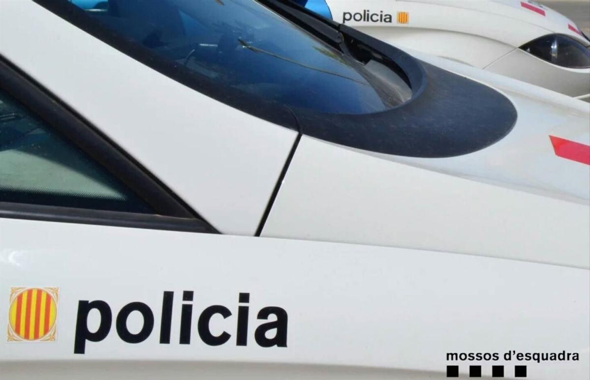 El propietario de un piso en Barcelona ve como le roban a través de sus cámaras de seguridad
