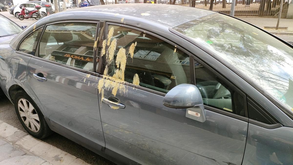 Uno de los coches afectados por estos excrementos de pájaro en Barcelona.