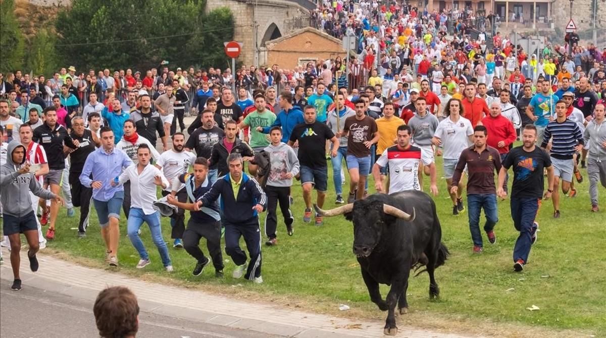Toro de la Vega celebrado en Tordesillas Toro de la Vega celebrado en Tordesillas
