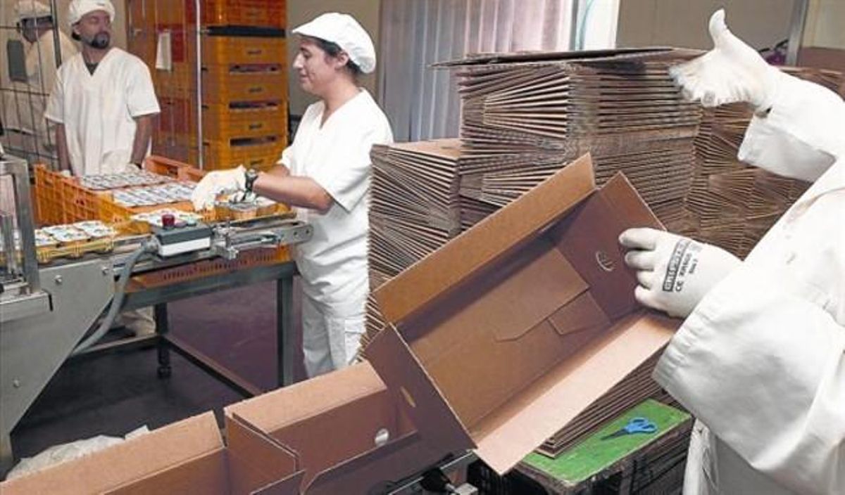 'Las cooperativas somos experiencias de éxito' 'Las cooperativas somos experiencias de éxito'