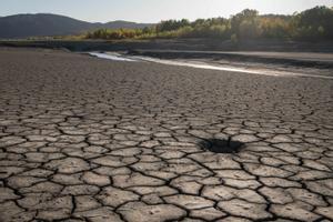 Buscador | Comprueba si tu municipio es uno de los afectados por la alerta por sequía en Catalunya