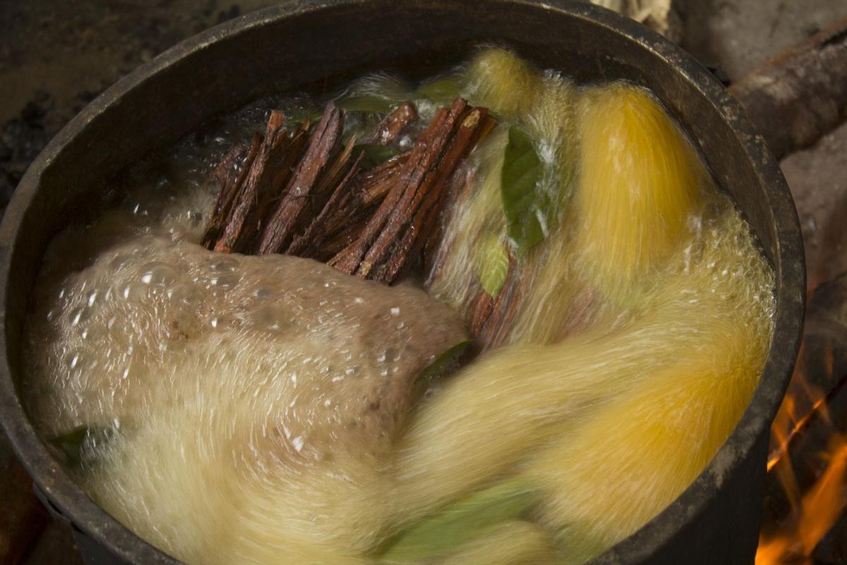 La ayahuasca potencia el bienestar general de las personas que siguen el rito amazónico