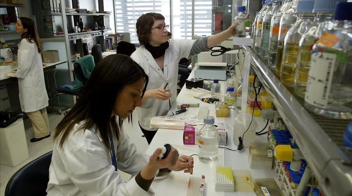Grupo de investigación en un laboratorio de la Universitat de Barcelona.