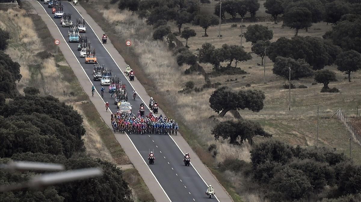 El pelotón de la Vuelta. El pelotón de la Vuelta.