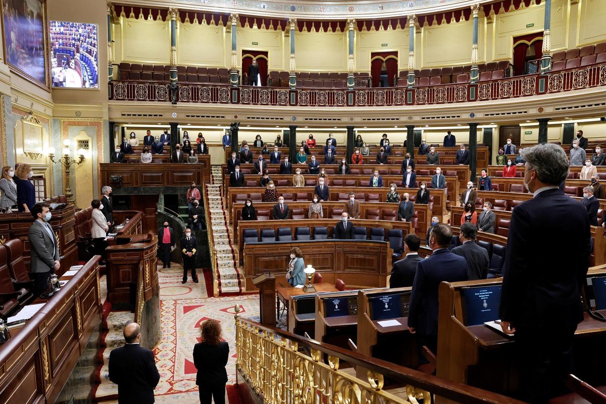 Los diputados guardan un minuto de silencio por las víctimas del coronavirus Los diputados guardan un minuto de silencio por las víctimas del coronavirus