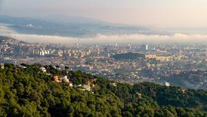 Un brazo de niebla matinal entra en Barcelona por el cauce del río Besòs.