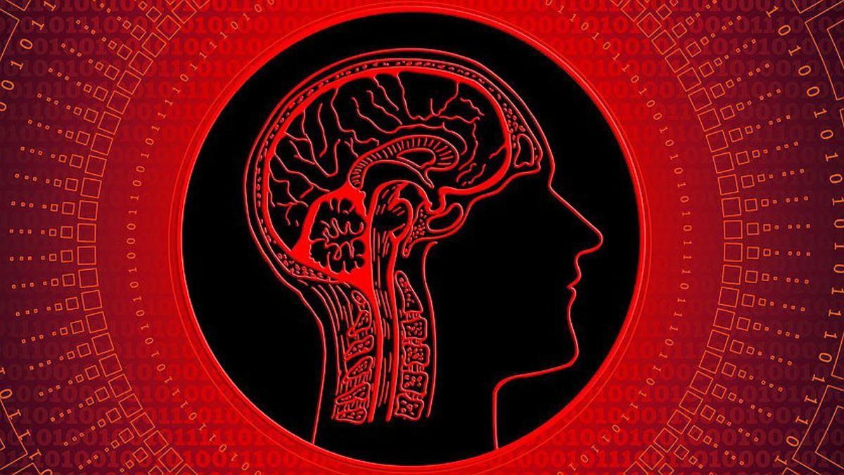 Los nacidos después de 1975, cada vez menos inteligentes Los nacidos después de 1975, cada vez menos inteligentes