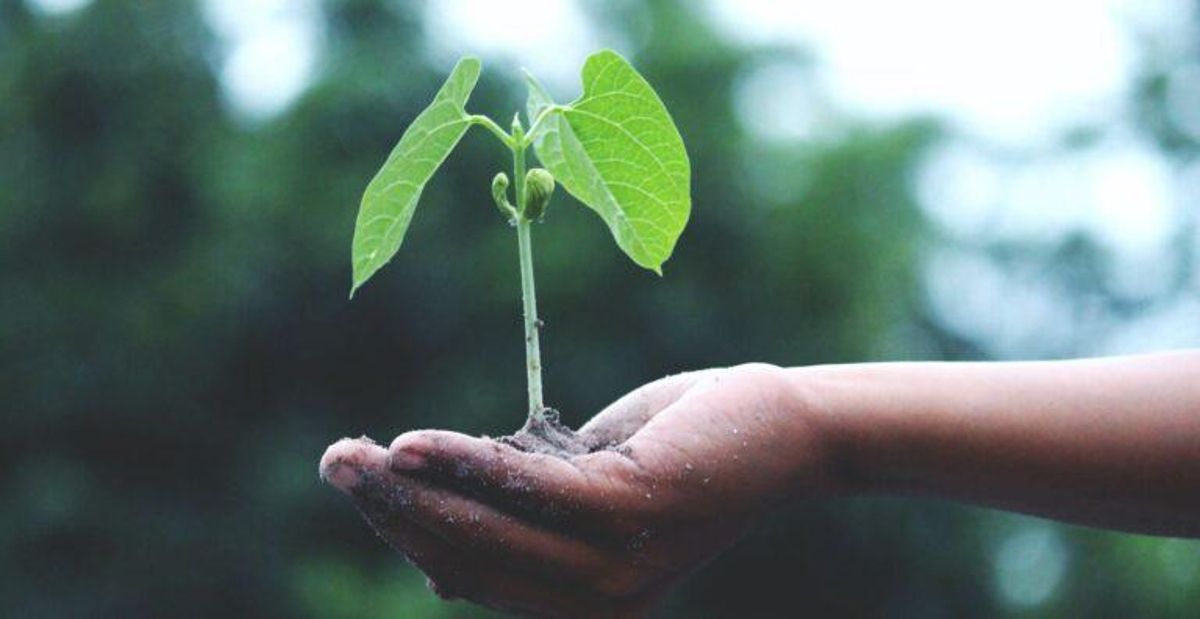 Salud y cambio global (1): ¿Por qué el medioambiente es un problema de médicos más que de ecologistas? Salud y cambio global (1): ¿Por qué el medioambiente es un problema de médicos más que de ecologistas?