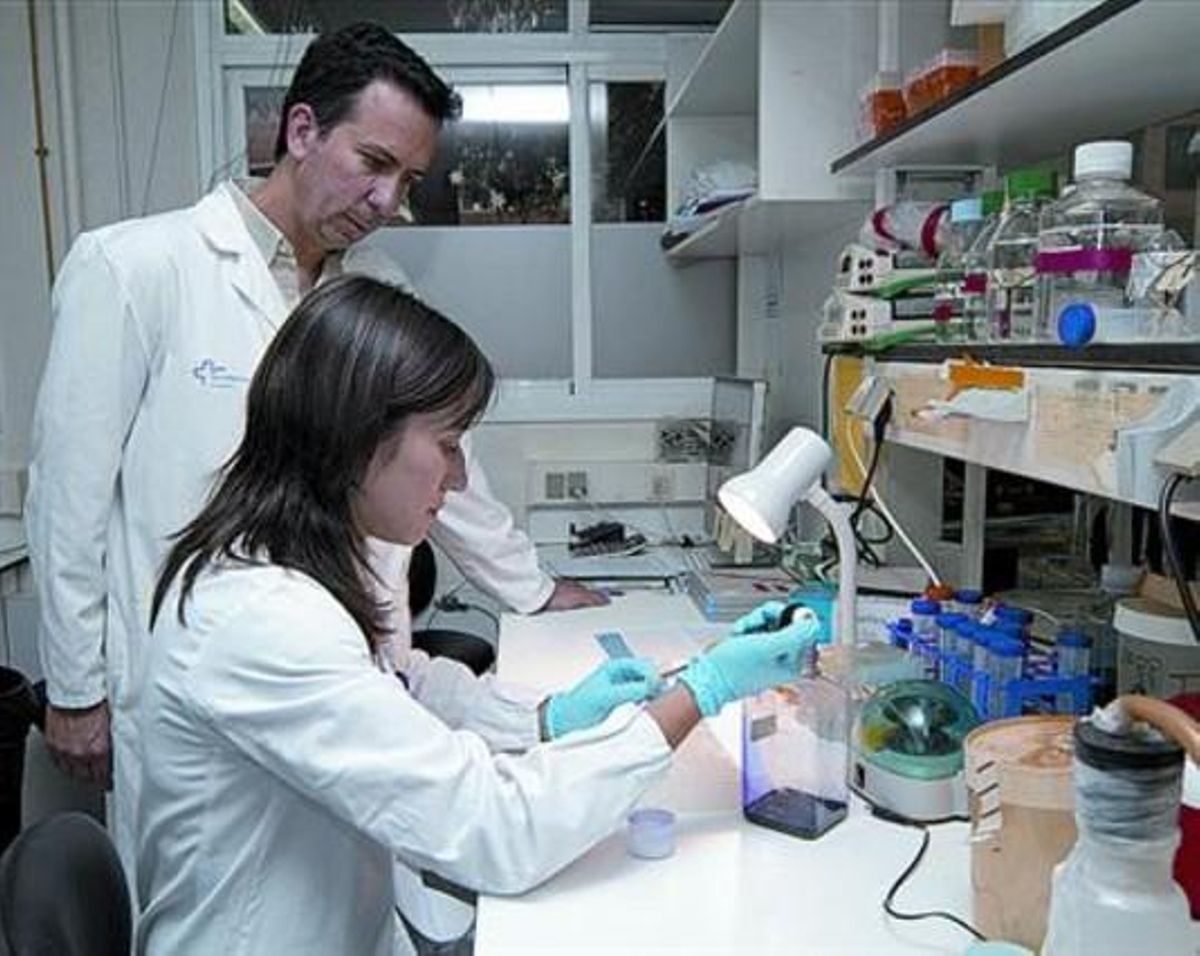 El doctor Joan Seoane en el laboratorio de Vall d’Hebron donde investiga el tumor cerebral, el viernes. El doctor Joan Seoane en el laboratorio de Vall d’Hebron donde investiga el tumor cerebral, el viernes.