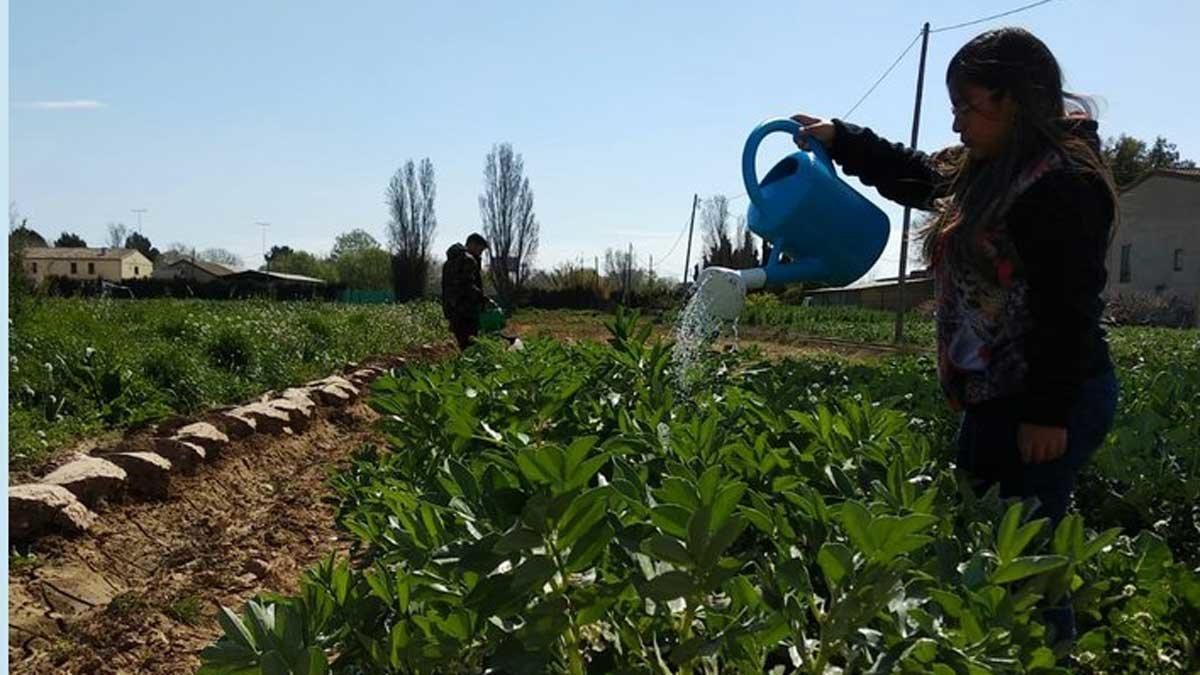 Una joven riega los cultivos en una explotación agraria en Sant Boi. Una joven riega los cultivos en una explotación agraria en Sant Boi.