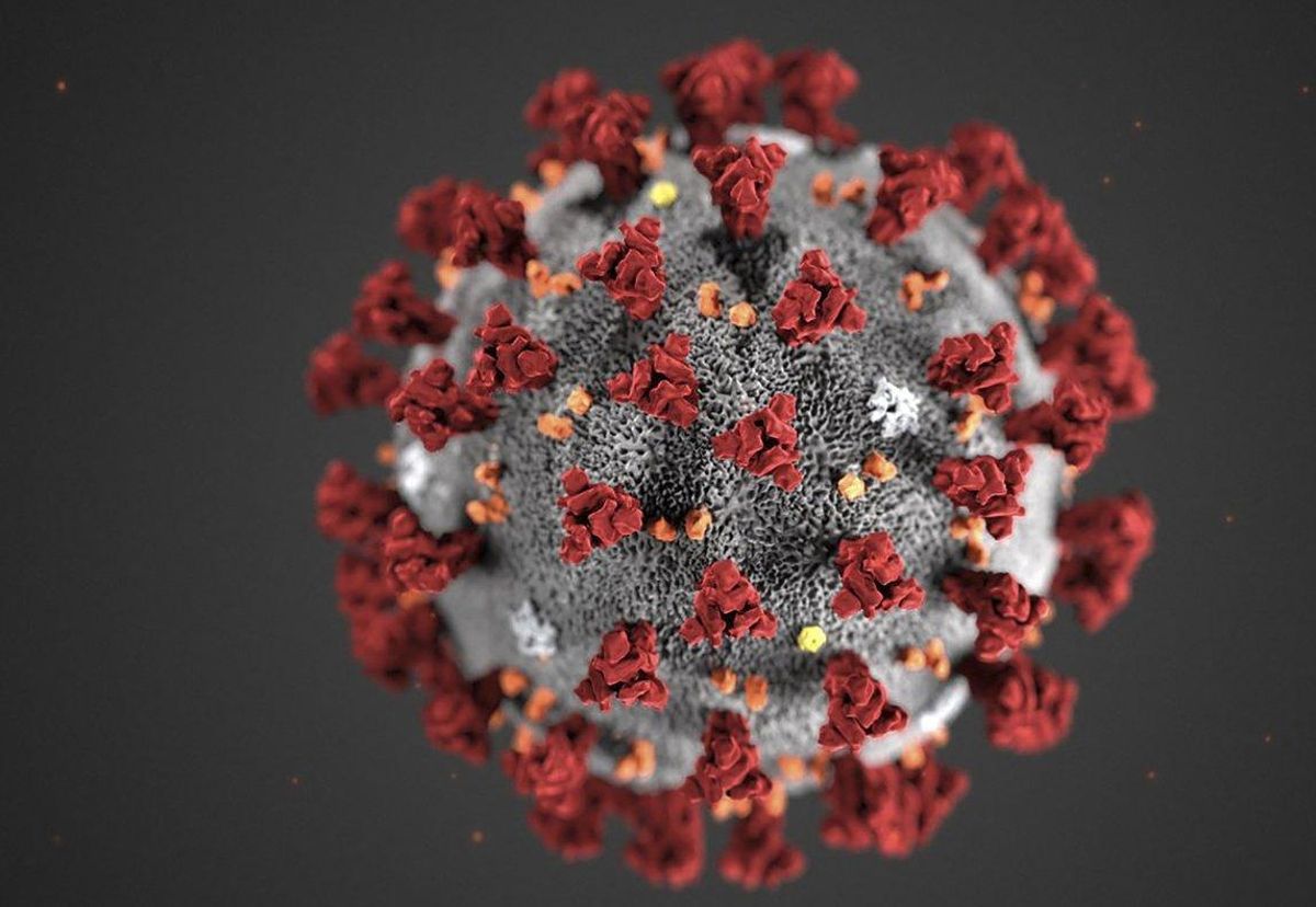 Morfología ultraestructural del coronavirus. Morfología ultraestructural del coronavirus.