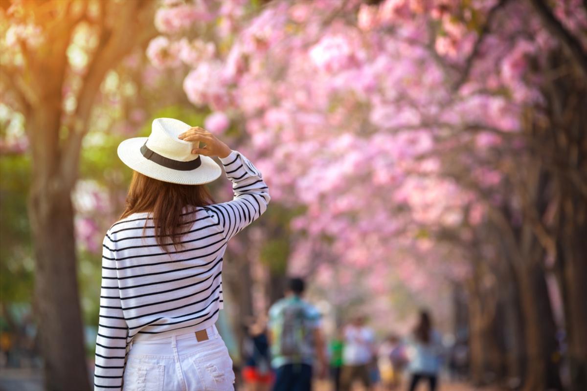 Viajar en primavera: 5 destinos perfectos para visitar en esta época del año