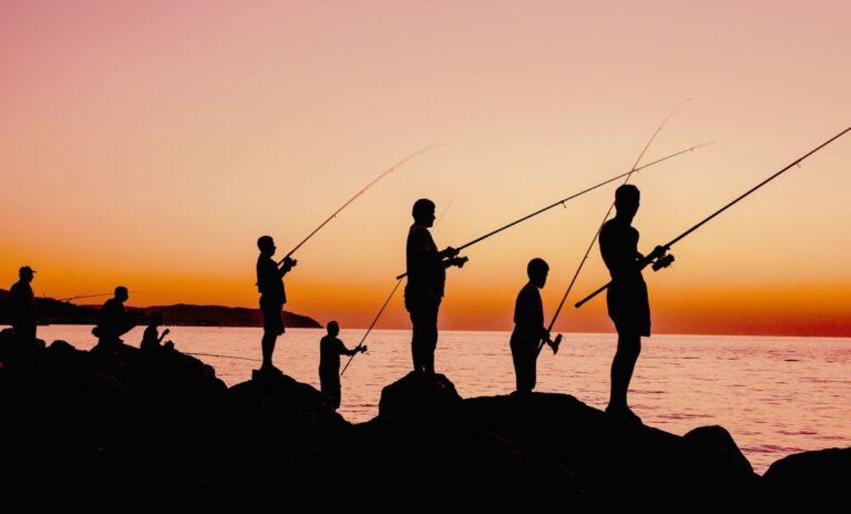 ¿Por qué la pesca hace que los peces sean cada vez más pequeños? ¿Por qué la pesca hace que los peces sean cada vez más pequeños?