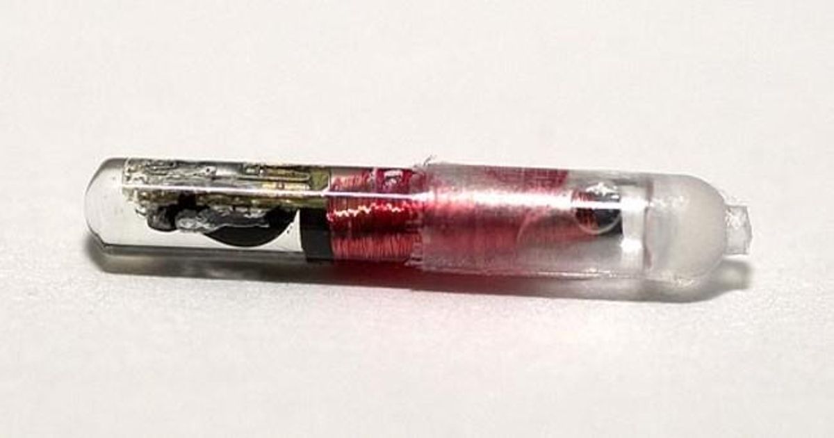 Un chip implantable bajo la piel. Un chip implantable bajo la piel.
