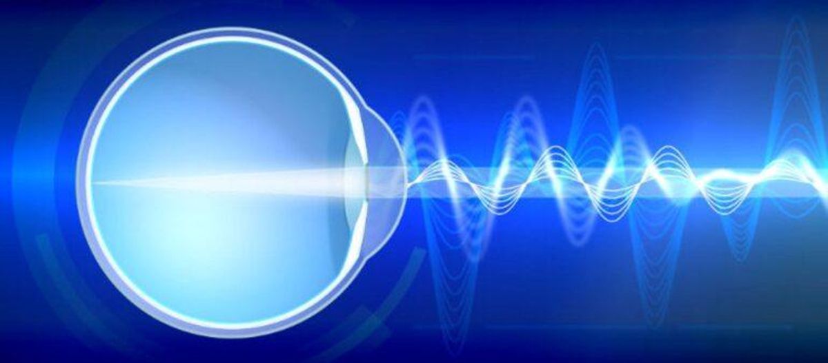 La retina interpreta la luz para informar al cerebro cómo es el mundo La retina interpreta la luz para informar al cerebro cómo es el mundo