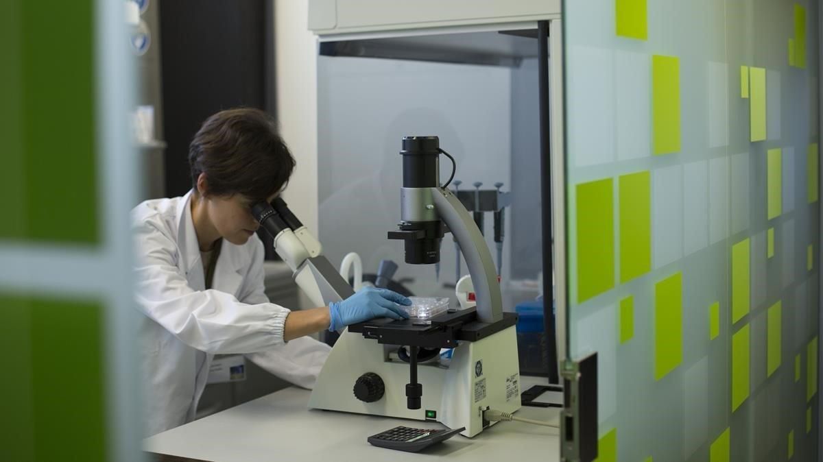 Una científica trabaja en el laboratorio, en una imagen de archivo Una científica trabaja en el laboratorio, en una imagen de archivo
