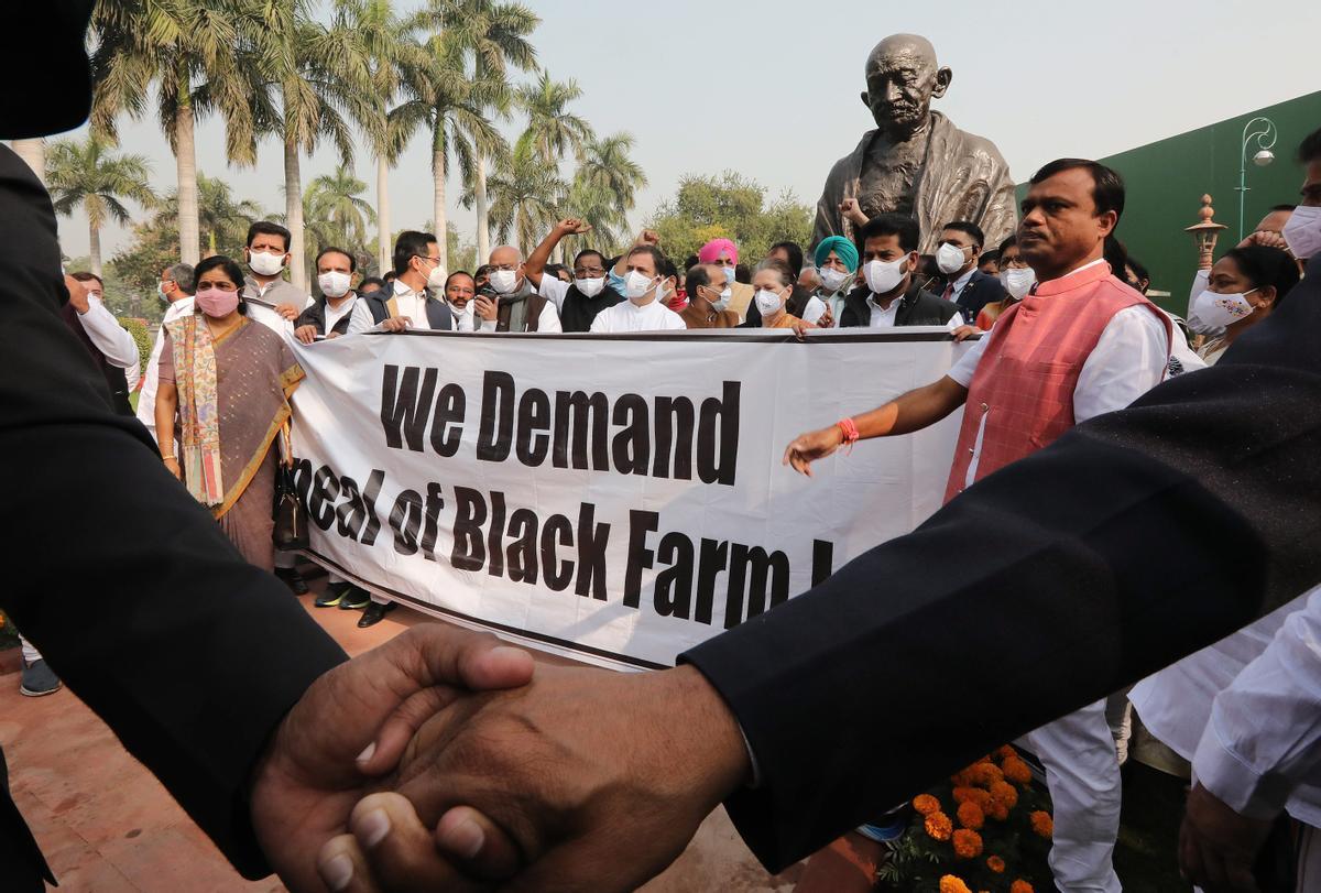 El Parlament indi deroga les polèmiques lleis de la reforma agrària