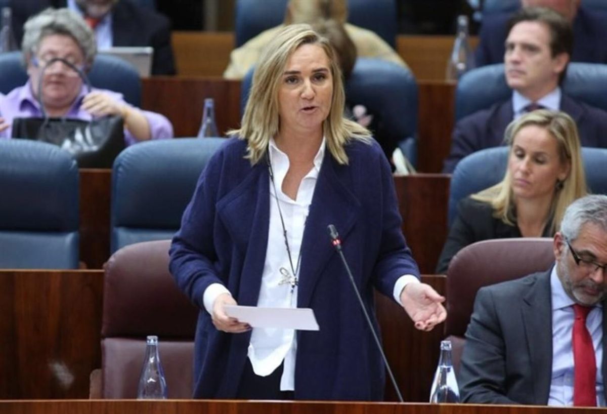 La consejera de Transportes, Vivienda e Infraestructuras de la Comunidad de Madrid, Rosalía Gonzalo La consejera de Transportes, Vivienda e Infraestructuras de la Comunidad de Madrid, Rosalía Gonzalo