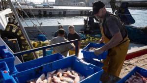 Pescadores en el puerto de Barcelona. Pescadores en el puerto de Barcelona.