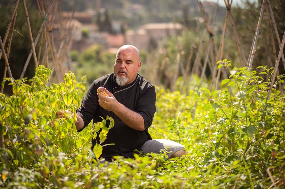 El chef Joan Bagur, en el huerto con productos mexicanos que tiene su restaurante Oaxaca en Riells del Fai (Vallès Oriental). El chef Joan Bagur, en el huerto con productos mexicanos que tiene su restaurante Oaxaca en Riells del Fai (Vallès Oriental).