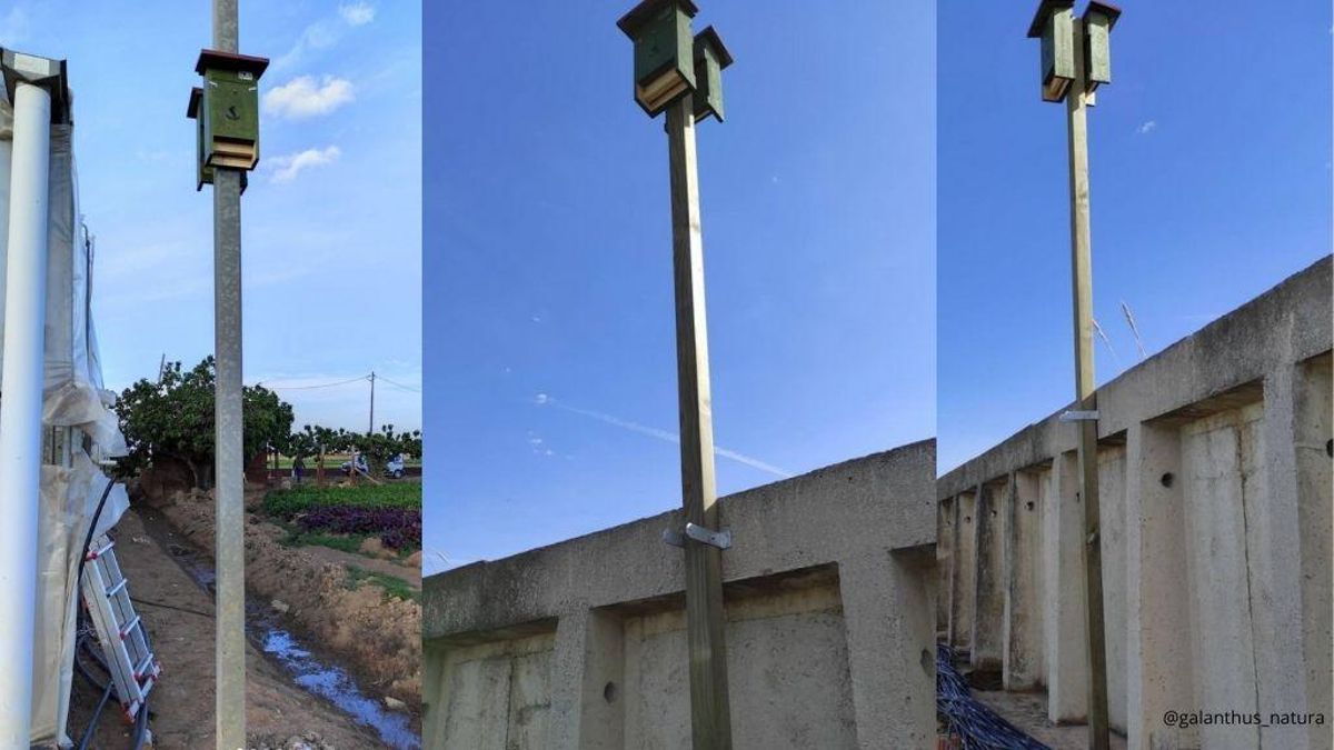 Viladecans s’afegeix a la xarxa Eco-bats Viladecans s’afegeix a la xarxa Eco-bats