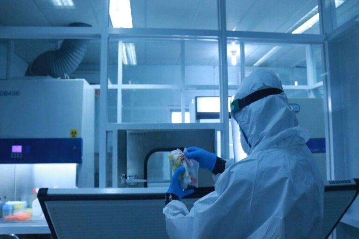 Una PCR «made in Spain» elimina los falsos positivos por coronavirus Una PCR «made in Spain» elimina los falsos positivos por coronavirus