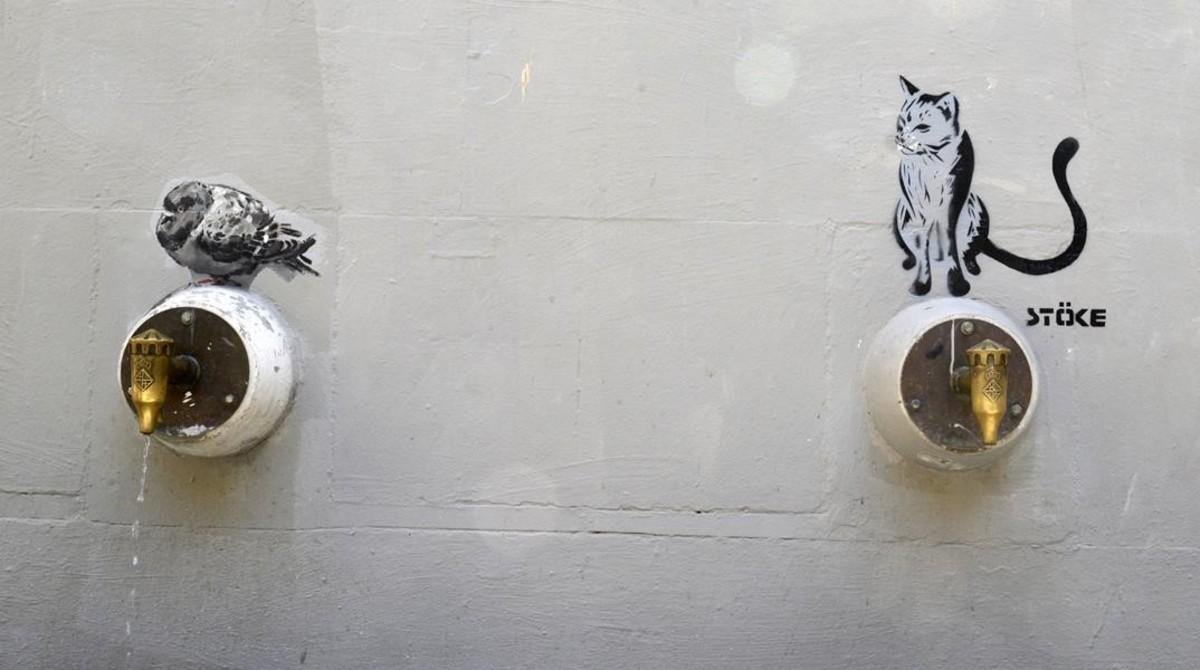 Una de las palomas supervivientes de la fuente de Sant Agustí Vell. Al lado, el último inquilino del tercer grifo: un gato firmado por Stöke. 