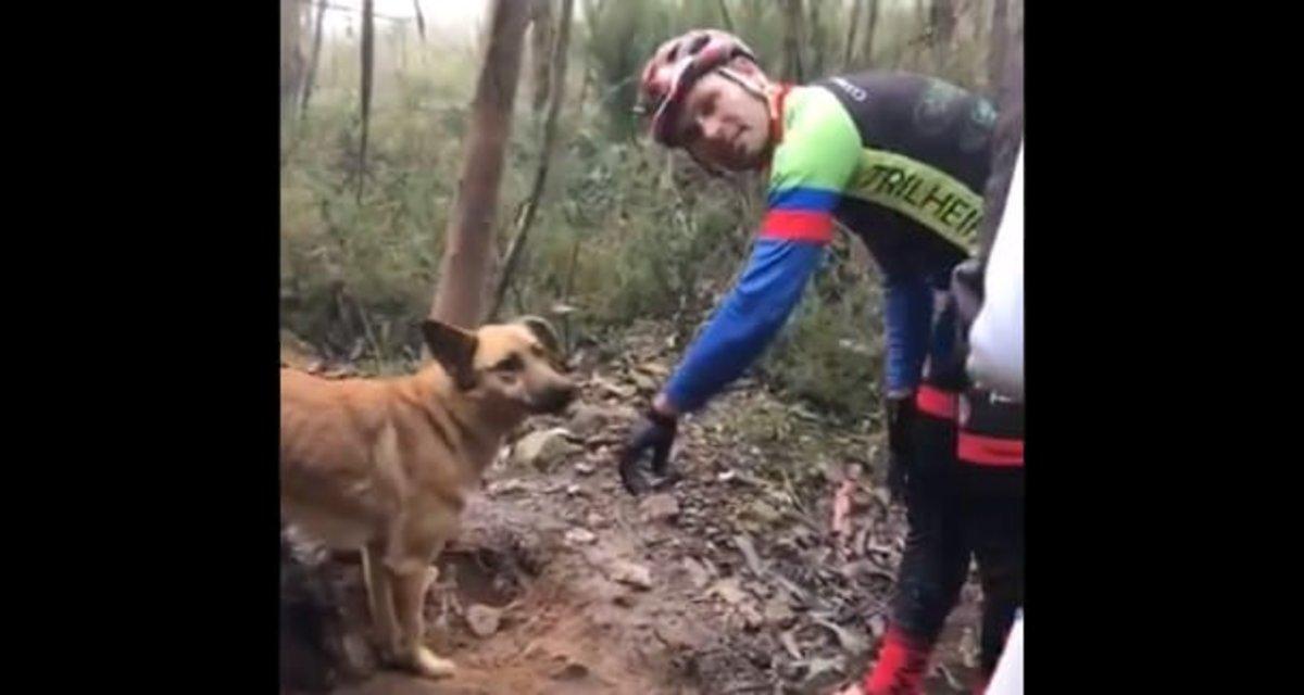 Un grupo de ciclistas rescata a un perro atado a un árbol para que muriera de hambre
