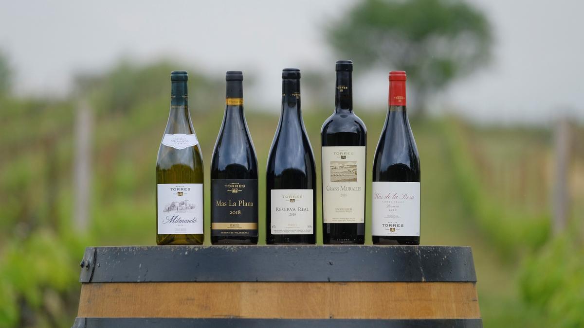 Las cinco nuevas añadas de la colección de vinos de antología de Familia Torres.