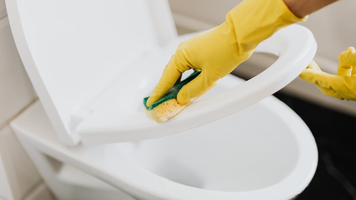 Una persona limpia un váter con un estropajo enjabonado.