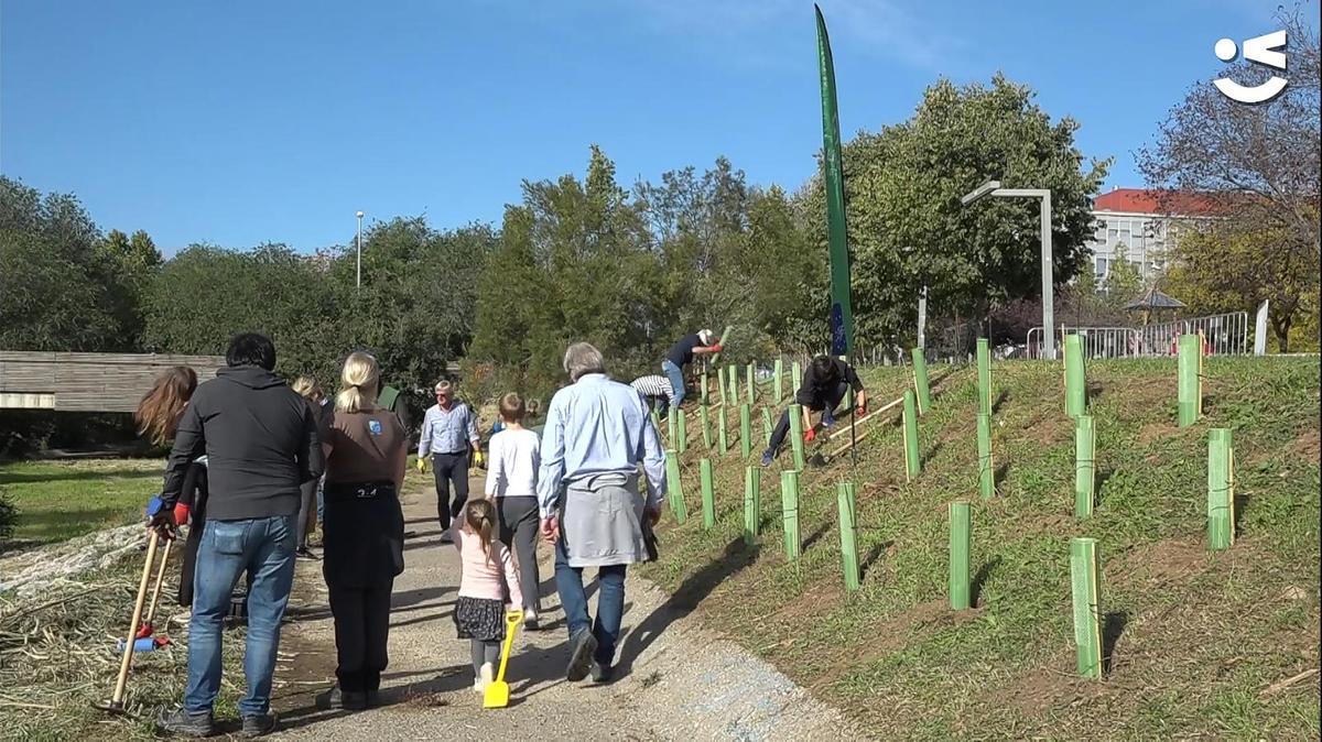 Viladecans planta més de 500 arbres per «naturalitzar la ciutat»