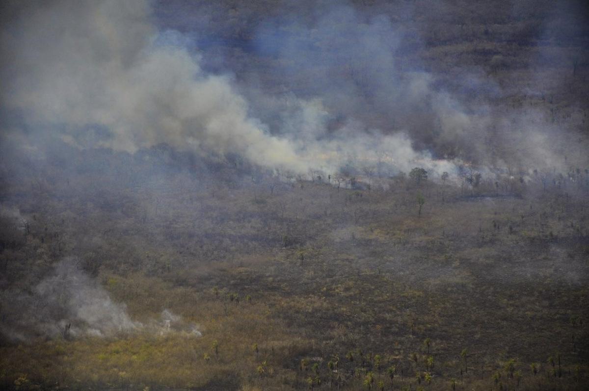 Los incendios forestales arrasan con miles de hectáreas de selva en Brasil. EFE