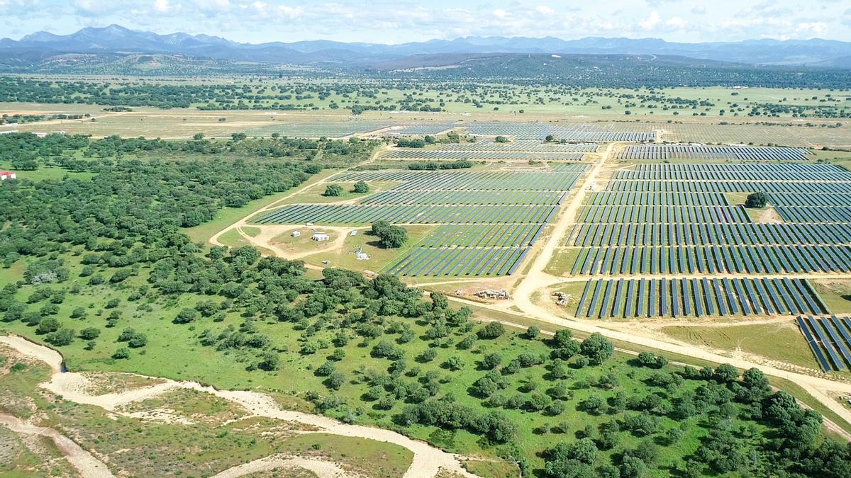 Repsol inicia la producció a Valdesolar, la seva planta fotovoltaica més gran