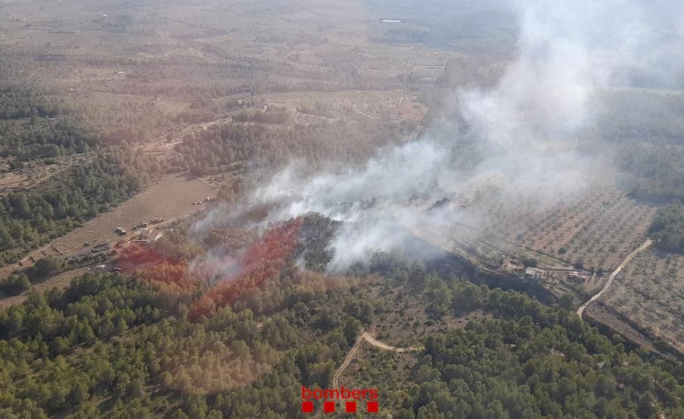 Los Bombers estabilizan un incendio forestal en Perelló (Tarragona)
